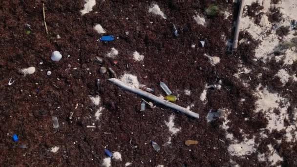 海洋廃棄物の不法投棄によるプラスチック製の屋根付きビーチ — ストック動画