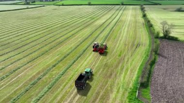 Silage Havacılık Görünümü için İzlenen Toplayıcı Çimeni Topluyor