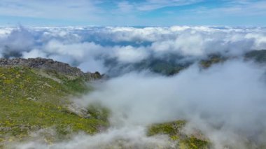 Madeira Dağı Manzarası Görüntüleri