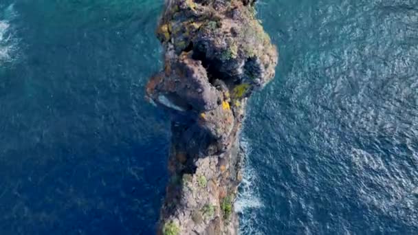 Скалы Море Вдоль Побережья Мадейры — стоковое видео