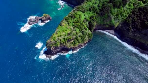 Madeira Hermosa Vista Aérea Costa — Vídeos de Stock