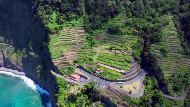 Madeira Hermosa Vista Aérea Costa — Vídeo de stock