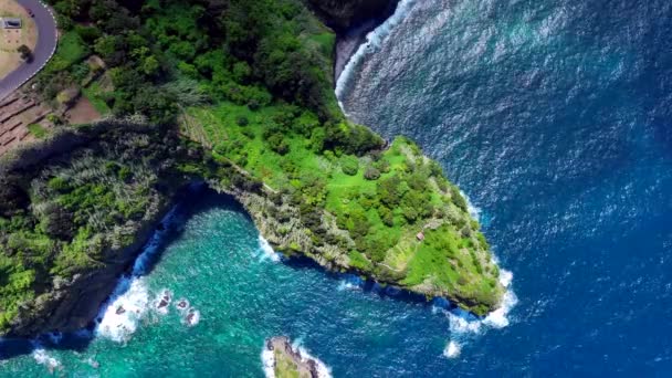 Madeira Beautiful Coastline Aerial View — Stock video