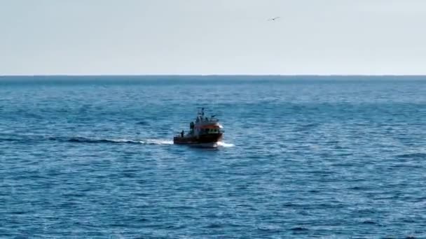 Barco Pesca Vista Aérea Mar — Vídeos de Stock