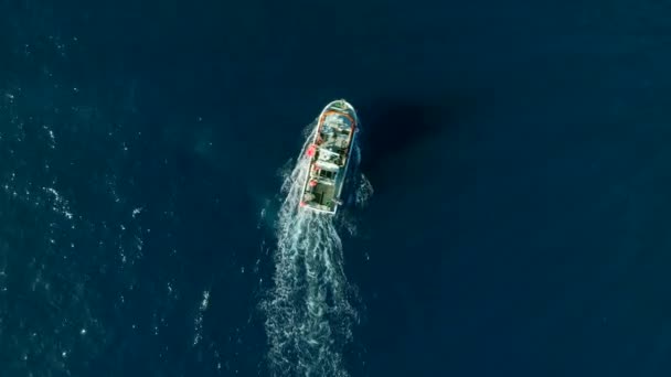 Barco Pesquero Regresando Puerto — Vídeos de Stock