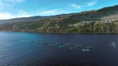 Su Ürünleri Balık Çiftliği Tüketim İçin Balığı Tutardı