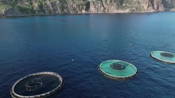 Akvakultúra Tengeri Halgazdaság Légi Kilátása — Stock videók