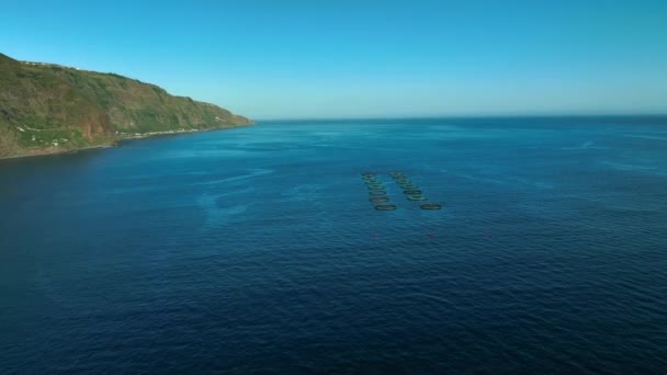 Akwakultura Sea Fish Farm Widok Lotu Ptaka — Wideo stockowe