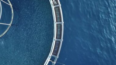 Su Ürünleri Balık Çiftliği Tüketim İçin Balığı Tutardı