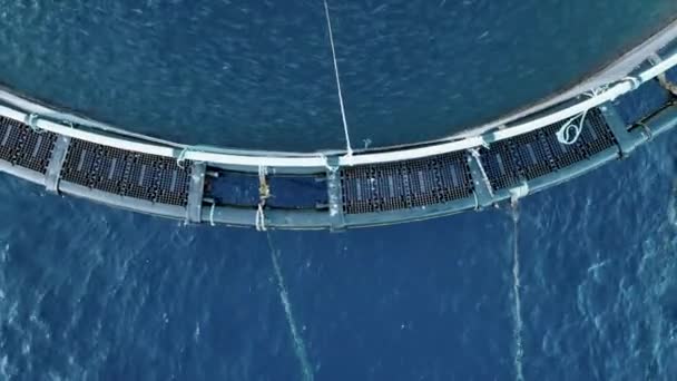 Υδατοκαλλιέργεια Sea Fish Farm Nets Που Περιέχουν Εκατομμύρια Ψάρια — Αρχείο Βίντεο