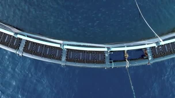 Aquaculture Sea Fish Farm Aerial View — Stock Video