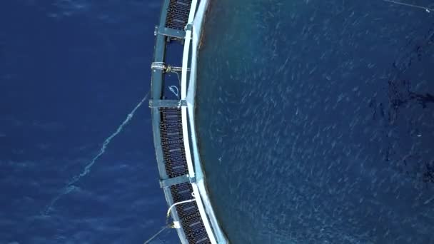 Aquaculture Sea Fish Farm Aerial View — Stock video