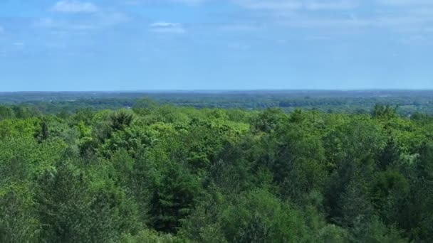 Ngiltere Deki Orman Orman Bir Hava Görüntüsünden — Stok video