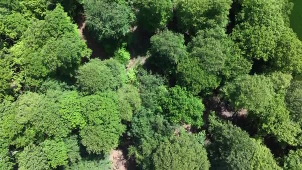 Δάσος Και Δάσος Στο Ηνωμένο Βασίλειο Από Αεροφωτογραφία — Αρχείο Βίντεο