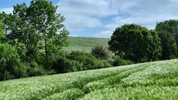 英国田野和林地的乡村 — 图库视频影像
