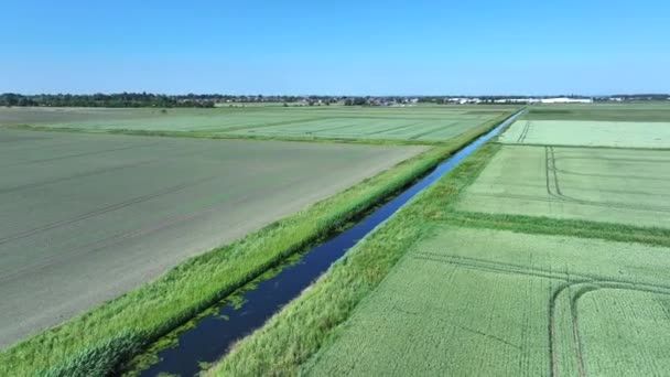 Drenagem Irrigação Dyke Uma Fazenda Vista Aérea — Vídeo de Stock
