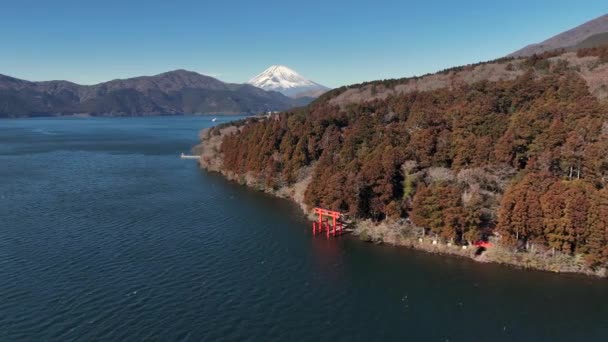Torii Gate Stranden Sjön Ashi Och Fuji Japan — Stockvideo