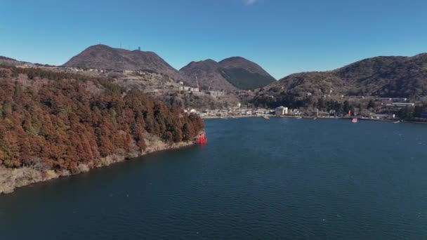 Puerta Torii Orillas Del Lago Ashi Japón — Vídeo de stock