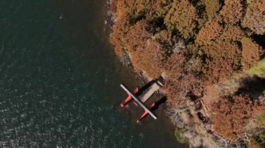 Japonya 'da Ashi Gölü kıyısındaki Torii Kapısı