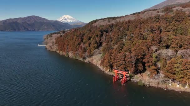 Torii Gate Stranden Sjön Ashi Med Mount Fuji Japan — Stockvideo