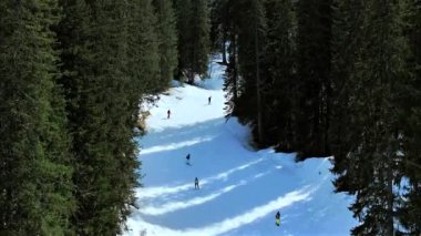 Ormanda kayak ve snowboard yapmak