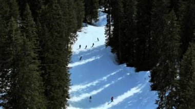 Ormanda kayak ve snowboard yapmak