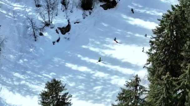 Skidåkning Och Snowboard Genom Skogsskidtur — Stockvideo