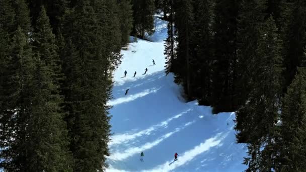 Skidåkning Och Snowboard Genom Skogsskidtur — Stockvideo