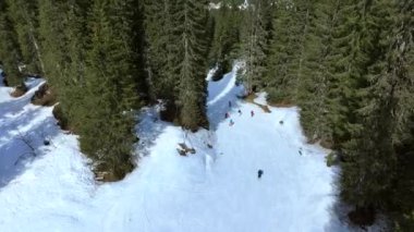 Ormanda kayak ve snowboard yapmak