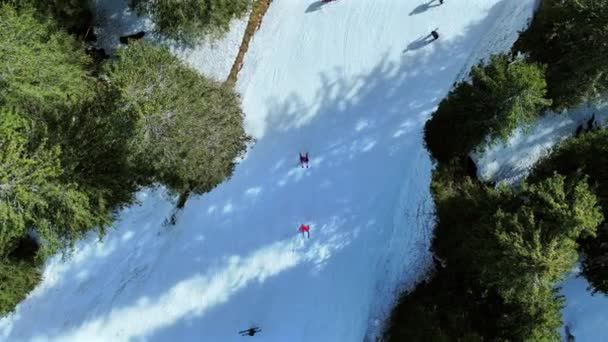 Катание Лыжах Сноуборде Лесным Лыжным Трассам — стоковое видео