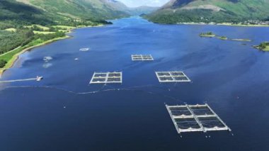 Balıkçılık Balık Çiftliği Havacılık Görünümü