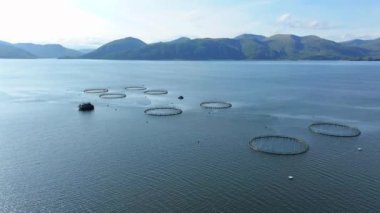 Su Kültürü Yoğun Balık Çiftliği Hava Görüntüsü