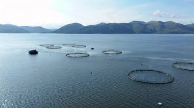 Yoğun Tarım Balığı içeren Su Kültürü Çiftliği Ağları