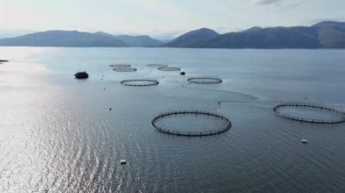 Balık Çiftliği Su Kültürü Ağları Çiftlik Balıkları İçerir
