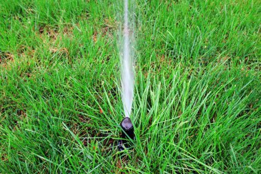 Yasadaki fıskiye sulama tesisleri