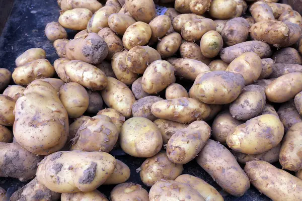 Bir araya toplanmış patatesler fotoğrafın yakın çekimi.