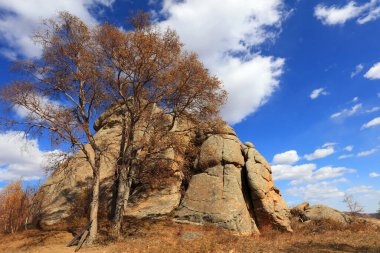 Keshiketeng World Geopark, Moğolistan 'daki Qingshan Park' ın doğal manzarası.