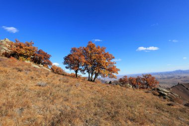 Keshiketeng World Geopark, Moğolistan 'daki Qingshan Park' ın doğal manzarası.