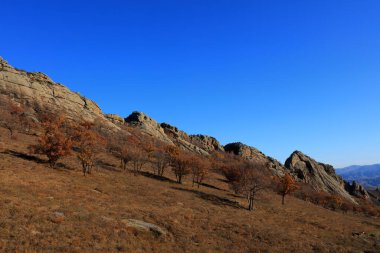 Keshiketeng World Geopark, Moğolistan 'daki Qingshan Park' ın doğal manzarası.