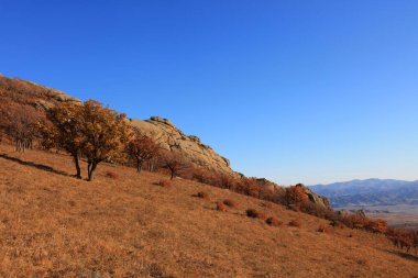 Keshiketeng World Geopark, Moğolistan 'daki Qingshan Park' ın doğal manzarası.