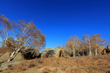 Keshiketeng World Geopark, Moğolistan 'daki Qingshan Park' ın doğal manzarası.
