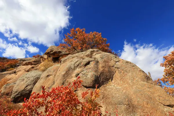 Keshiketeng World Geopark, Moğolistan 'daki Qingshan Park' ın doğal manzarası.