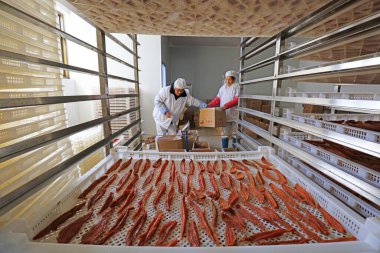 Luannan County - 20 Aralık 2017: Hebei Eyaleti, Çin 'de Luannan County' de bir atölyede kurutulmuş patates paketleme