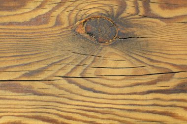 ahşap doku Close-Up