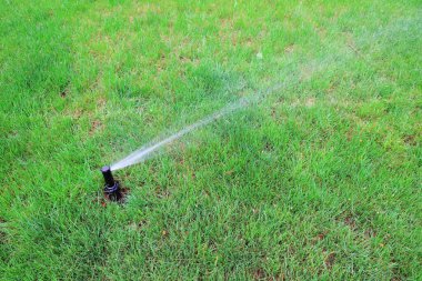 Yasadaki fıskiye sulama tesisleri