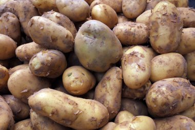 Patatesler bir araya toplanmış, yakın plan fotoğraf.