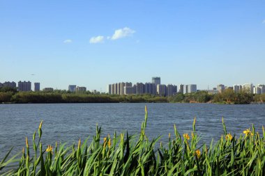 Rıhtım kenti mimarisi