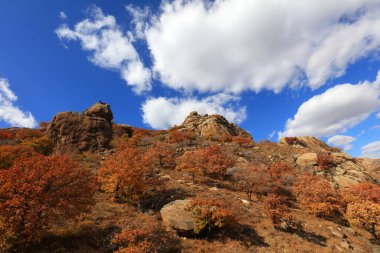 Keshiketeng World Geopark, Moğolistan 'daki Qingshan Park' ın doğal manzarası.