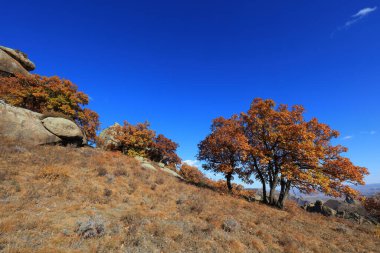 Keshiketeng World Geopark, Moğolistan 'daki Qingshan Park' ın doğal manzarası.