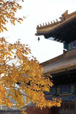 Architectural landscape of eaves of ancient temples in China